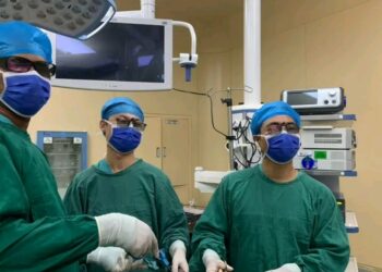 🇬🇳Urgences vasculaires : Des spécialistes alertent sur une pathologie grave