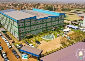 🇬🇳Santé : Inauguration de l’usine pharmaceutique D&B à Manéah