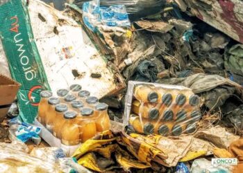 🇬🇳Santé publique : L’ONCQ détruit des produits périmés pour protéger les consommateurs