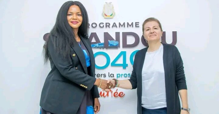 🇬🇳Modernisation du système de santé guinéen : Une rencontre stratégique