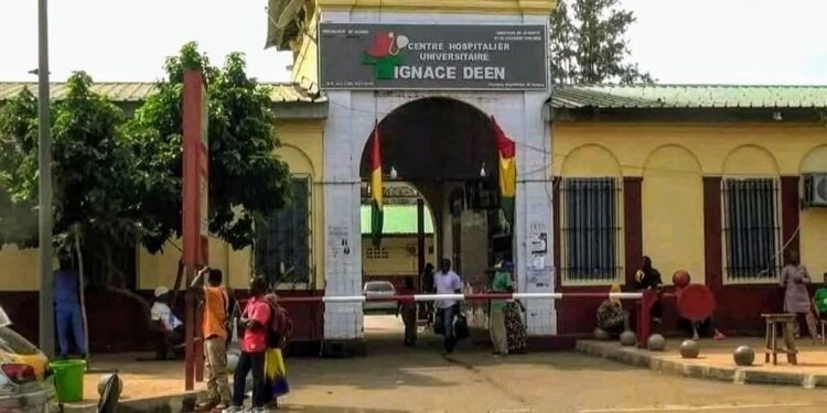 🇬🇳Reconstructionde l&rsquo;hôpital Ignace Deen : Ellipse Projects présente ses offres à Mme la ministre de la santé