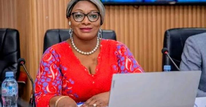 Actualités : La directrice générale des élections face à la presse