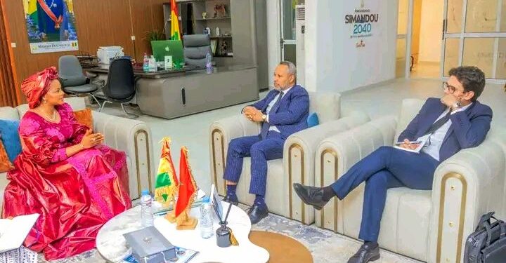 🇬🇳Coopération sanitaire : L’Ambassadeur du Maroc reçu par la ministre guinéenne de la Santé
