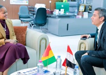 🇬🇳Audience au Ministère de la Santé : Coopération renforcée entre la Guinée et l’Égypte