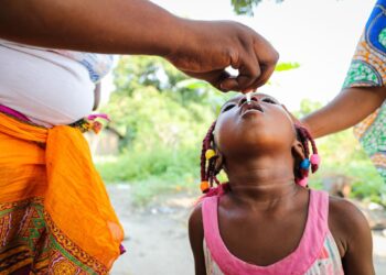 Santé publique en Afrique : Un plan quinquennal validé pour éliminer le paludisme