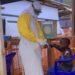 Humanitaire / Ebola en RDC : L’Allemagne annonce une aide sanitaire d’urgence