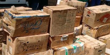 🇬🇳Saisie record de médicaments interdits à Kankan