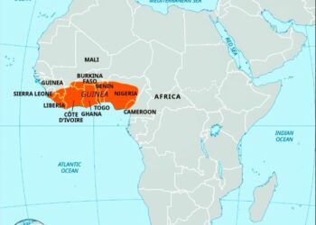 Tribune: Défendre la Guinée, la Dignité, la Souveraineté et la Fierté Nationale ( Dr David Makongo)