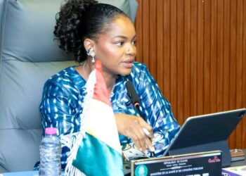 🇬🇳Guinée : Le Ministère de la santé et ses partenaires engagés pour un système de santé plus performant