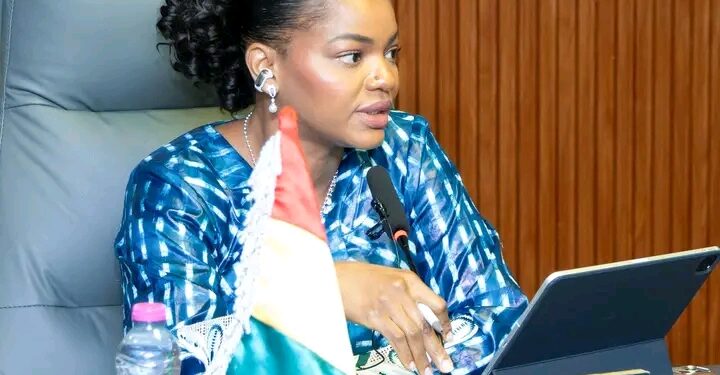 🇬🇳Guinée : Le Ministère de la santé et ses partenaires engagés pour un système de santé plus performant