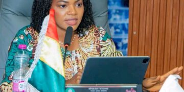 🇬🇳Santé : La diaspora guinéenne réaffirmé son engagement pour renforcer le système national
