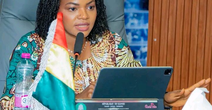 🇬🇳Santé : La diaspora guinéenne réaffirmé son engagement pour renforcer le système national