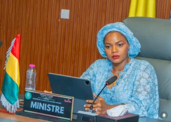 🇬🇳Système sanitaire : La ministre de la Santé rencontre les pharmaciens