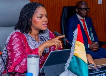 🇬🇳Validation du Dossier d’Investissement SRMNIA-N : Le Ministère de la Santé trace la voie
