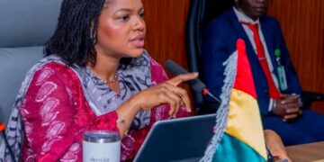 🇬🇳Validation du Dossier d’Investissement SRMNIA-N : Le Ministère de la Santé trace la voie
