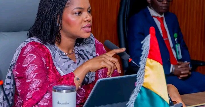 🇬🇳Validation du Dossier d’Investissement SRMNIA-N : Le Ministère de la Santé trace la voie