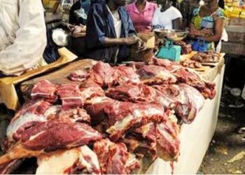 🇬🇳Santé publique : Viande avariée saisie sur le marché de Labé