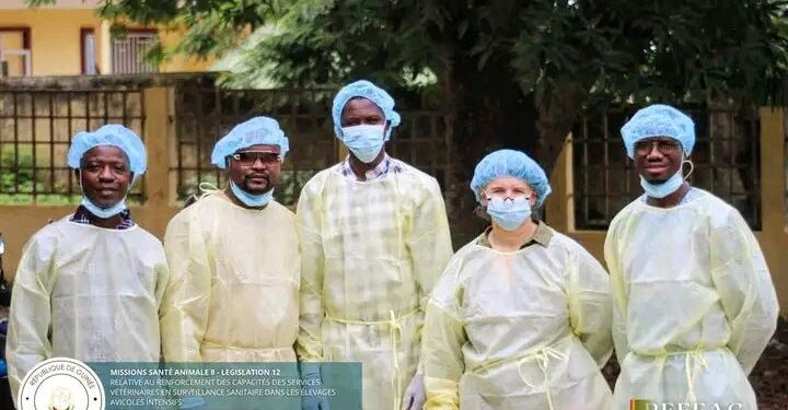 🇬🇳Guinée : Formation des vétérinaires sanitaires des secteurs public et privé