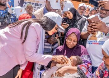 🇬🇳Ministère de la Santé : L’élimination du paludisme, un objectif national du Programme Simandou 2040