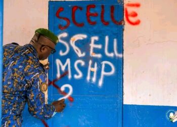 🇬🇳Conakry : La mission d’identification et de contrôle des structures sanitaires se poursuit