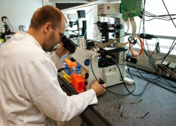Médicaments : Le centre allemand DZIF développe un antipaludique à dose unique