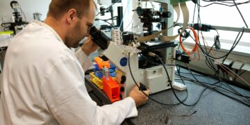 Médicaments : Le centre allemand DZIF développe un antipaludique à dose unique