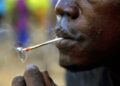 Santé publique : Environ 74 millions de personnes consomment des drogues en Afrique (ONUDC)