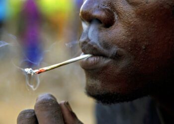 Santé publique : Environ 74 millions de personnes consomment des drogues en Afrique (ONUDC)