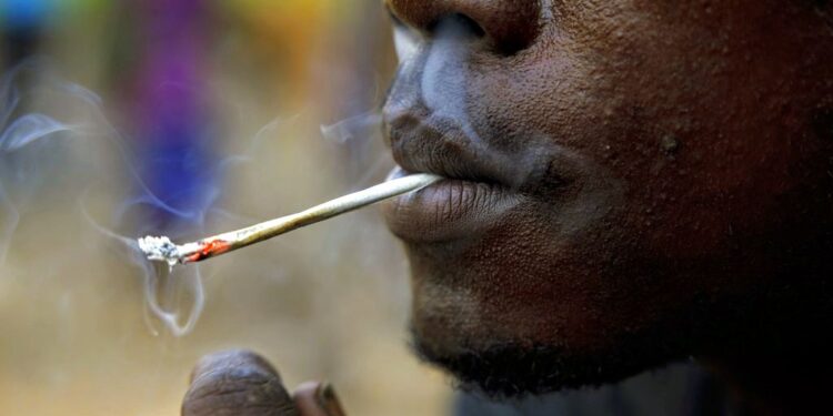 Santé publique : Environ 74 millions de personnes consomment des drogues en Afrique (ONUDC)