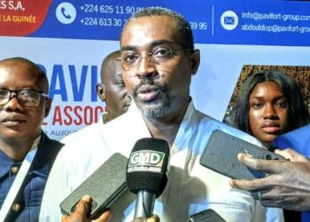 Projet Simandou : Pavifort Al Associates affiche ses ambitions