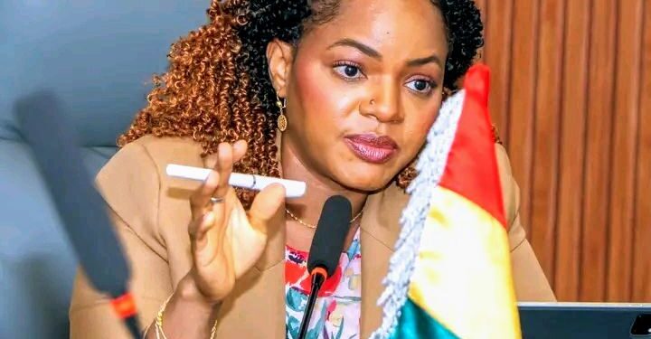 🇬🇳Santé : Vers un cadre stratégique pour la souveraineté sanitaire