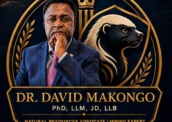 LA VISION MINIÈRE DU DR DAVID MAKONGO POUR LE CAMEROUN : De l’extraction de l’or à l’industrialisation nationale
