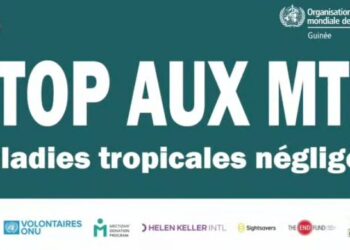 🇬🇳Guinée : L’eau douce, entre source de vie et risque sanitaire