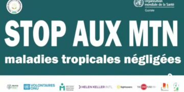 🇬🇳Guinée : L’eau douce, entre source de vie et risque sanitaire