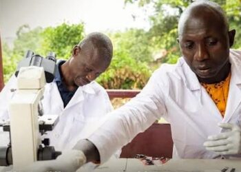 🇬🇳Santé : Les maladies tropicales négligées, une menace silencieuse