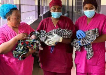🇬🇳Naissance de triplées à Kankan : la maternité confirme son expertise