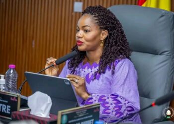 🇬🇳Santé : Validation des normes des structures privées de soins