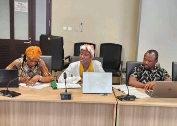 🇬🇳Institut National de Santé Publique : La Direction en conclave pour faire le point sur les priorités de l’institution