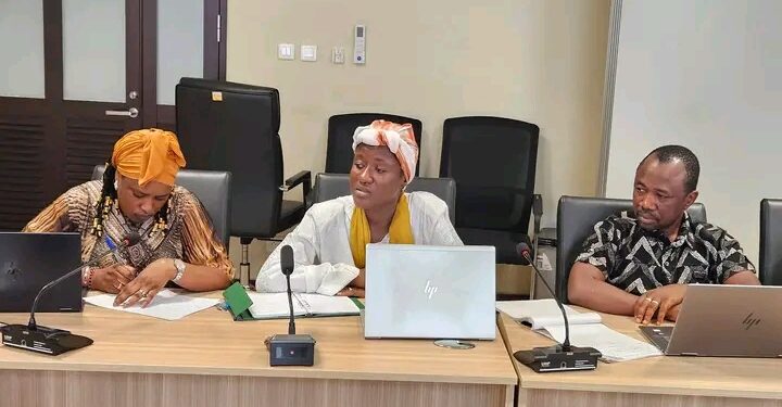 🇬🇳Institut National de Santé Publique : La Direction en conclave pour faire le point sur les priorités de l’institution