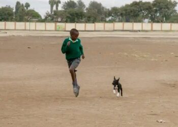 🇬🇳Journée mondiale contre la rage : Les enfants en première ligne
