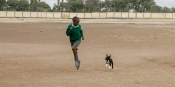 🇬🇳Journée mondiale contre la rage : Les enfants en première ligne