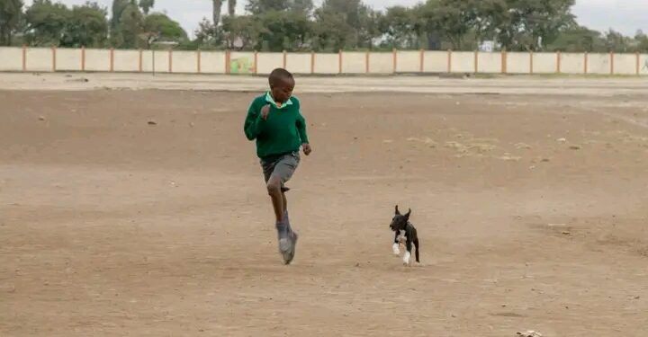🇬🇳Journée mondiale contre la rage : Les enfants en première ligne