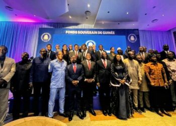 Fonds Souverain de Guinée : La restitution au cœur d’un atelier