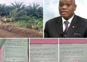 Dr. David Makongo a rugi au Cameroun et obtenu une victoire pour le peuple Fako : la cession des terres de la CDC a été annulée !