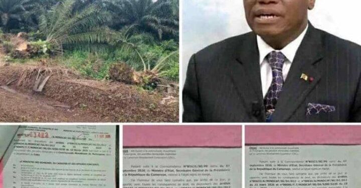 Dr. David Makongo a rugi au Cameroun et obtenu une victoire pour le peuple Fako : la cession des terres de la CDC a été annulée !